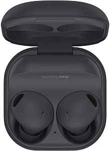 Samsung Galaxy Buds 2 Pro (графит)